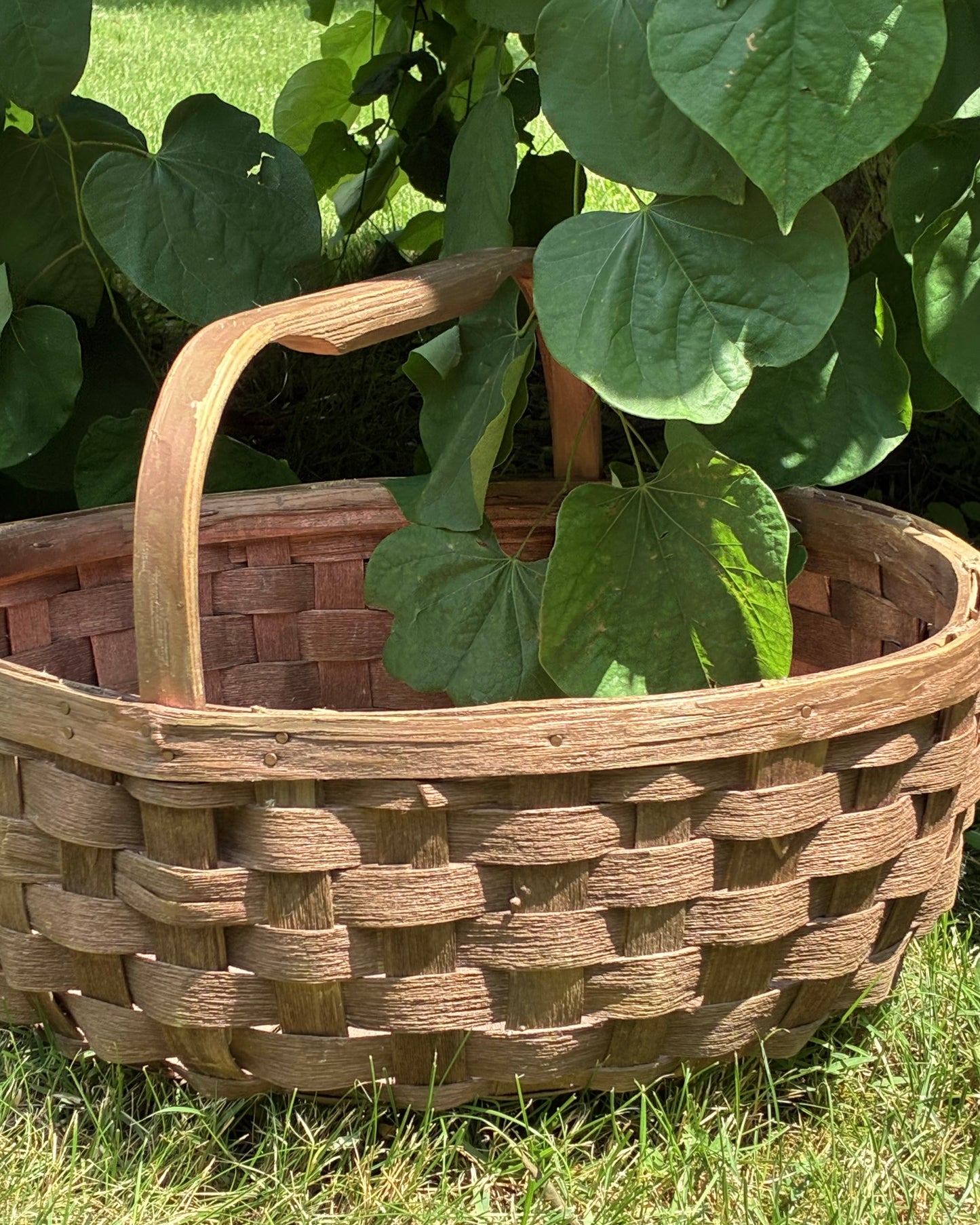 Antique Orchard Basket with Bentwood Handle