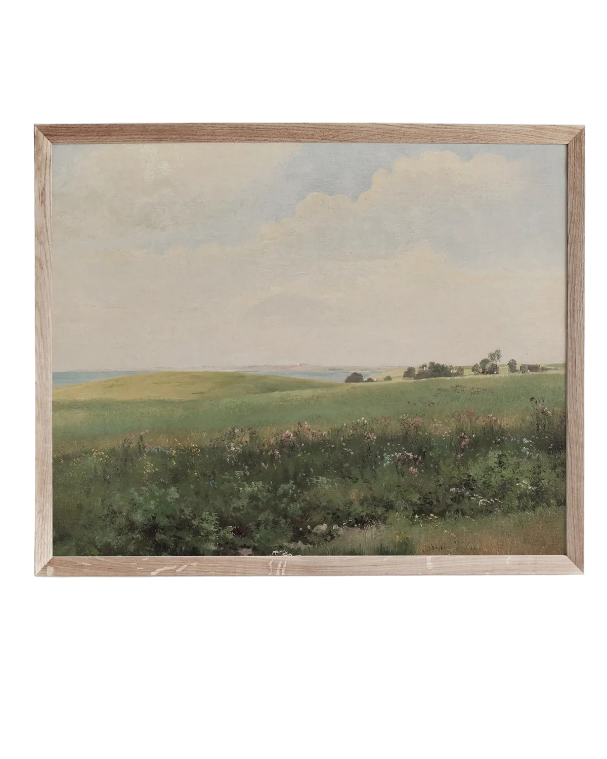 Meadow