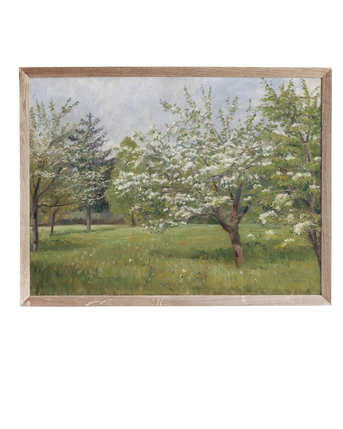 Spring Blossoms