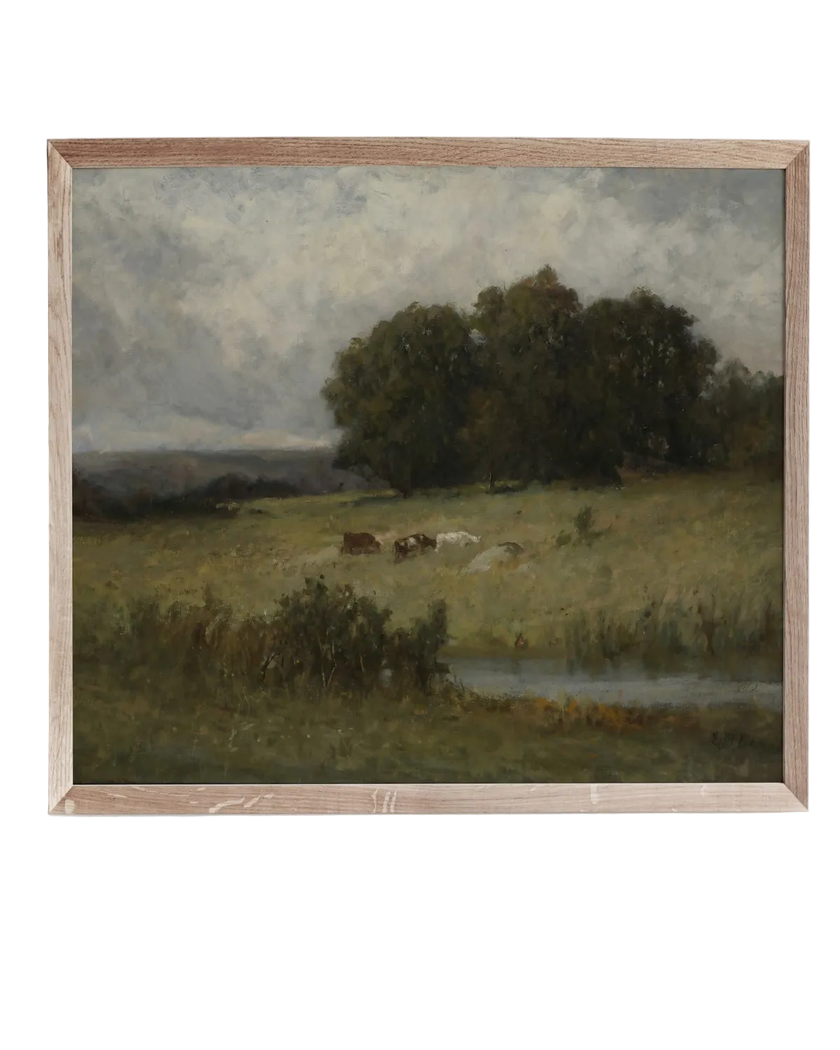 Graze