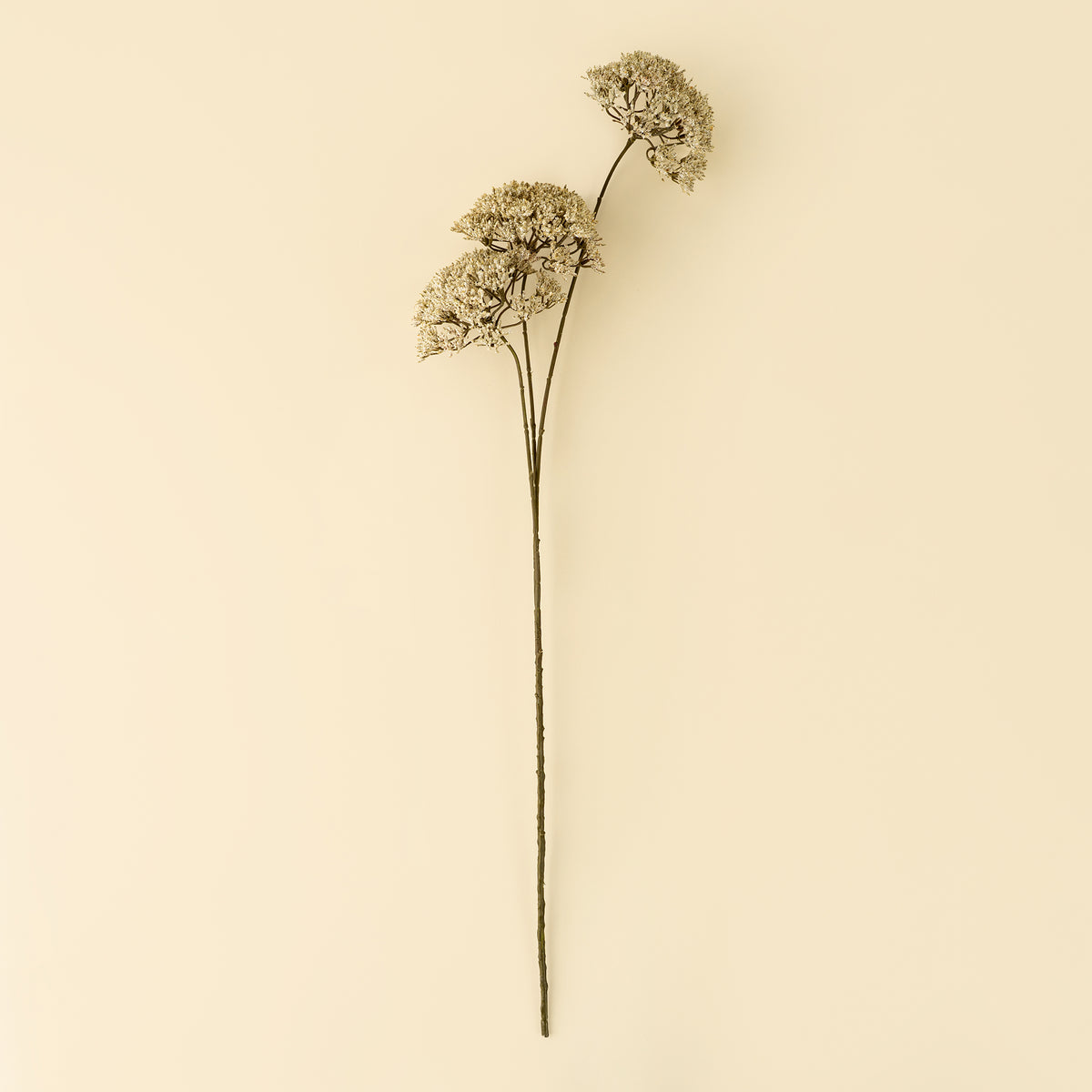 Queen Anne’s Lace Spray