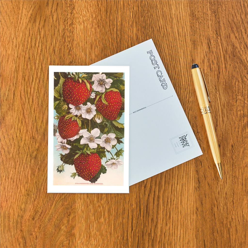x8 Postcards