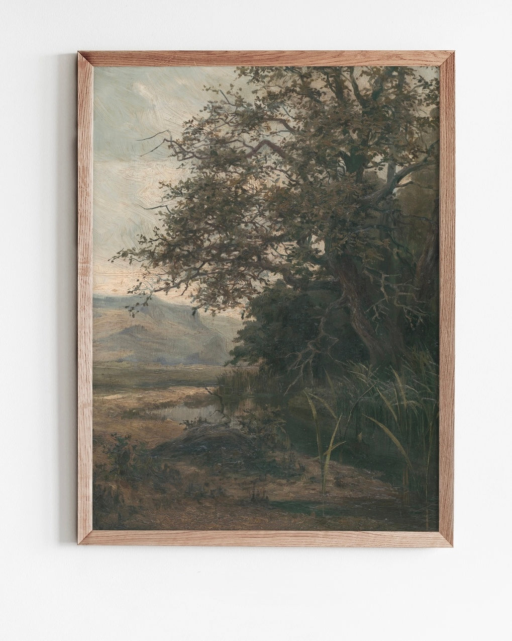 Riverbank