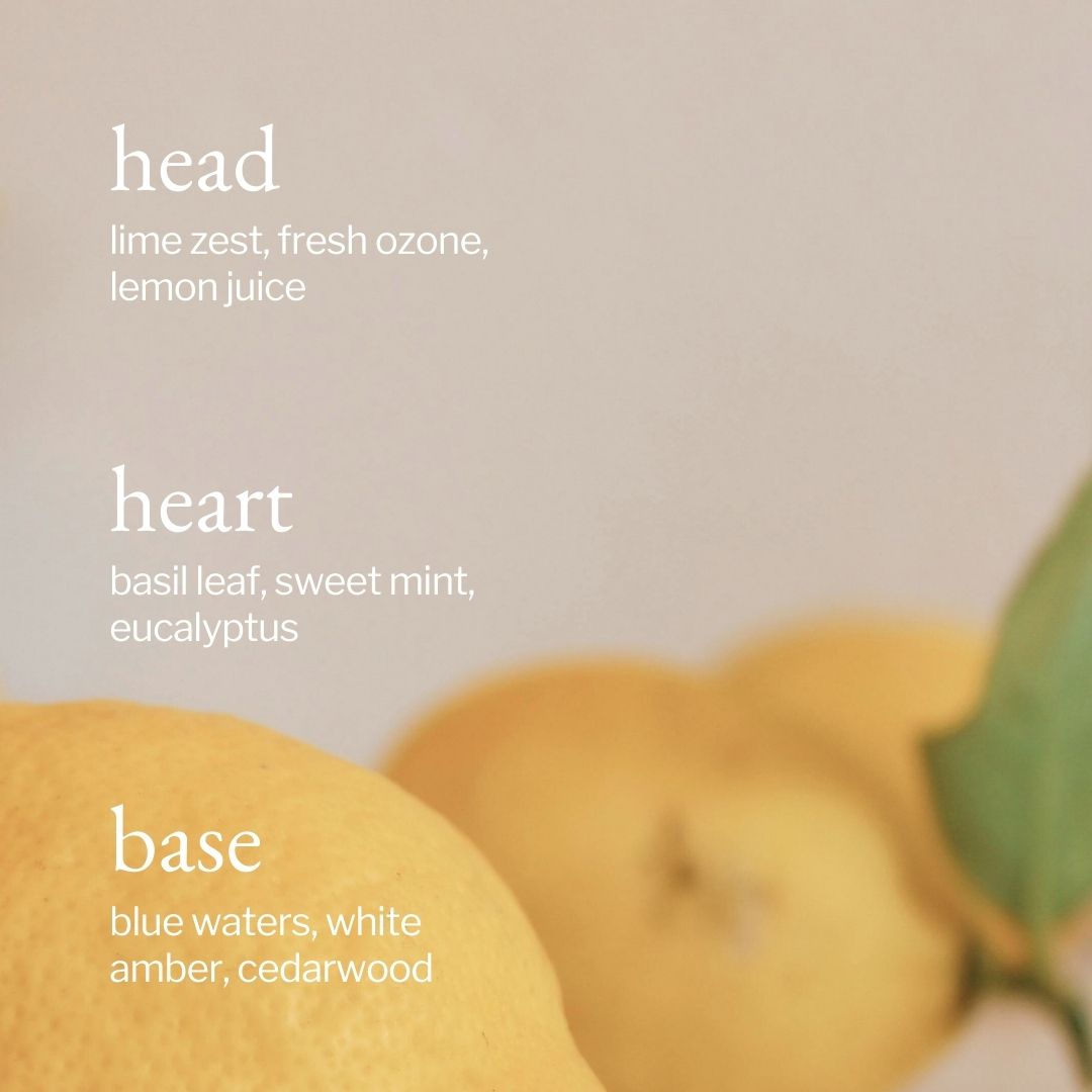 All Purpose Cleaner | Lemon, Sage & Rosemary