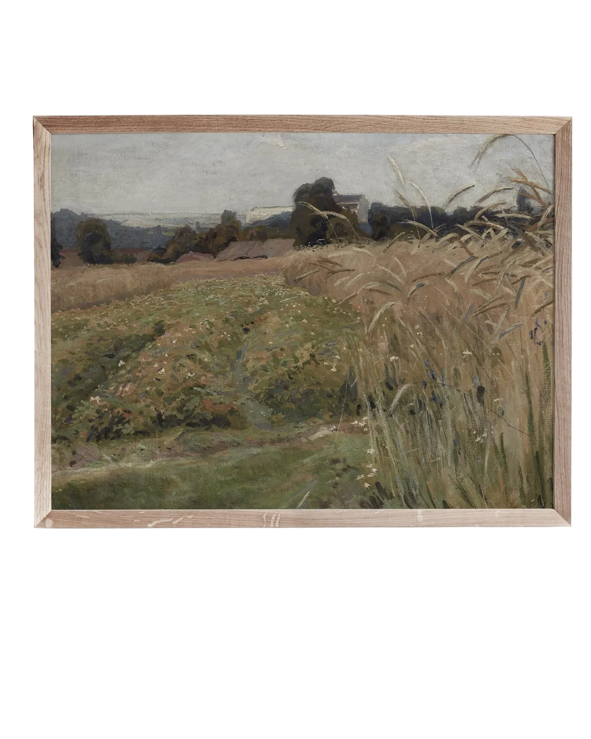 Wheat Field