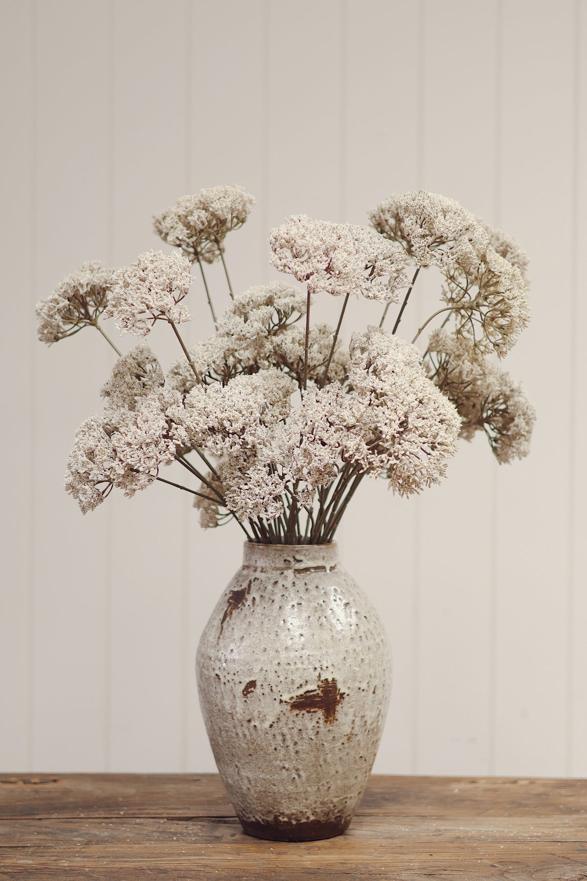 Queen Anne’s Lace Spray