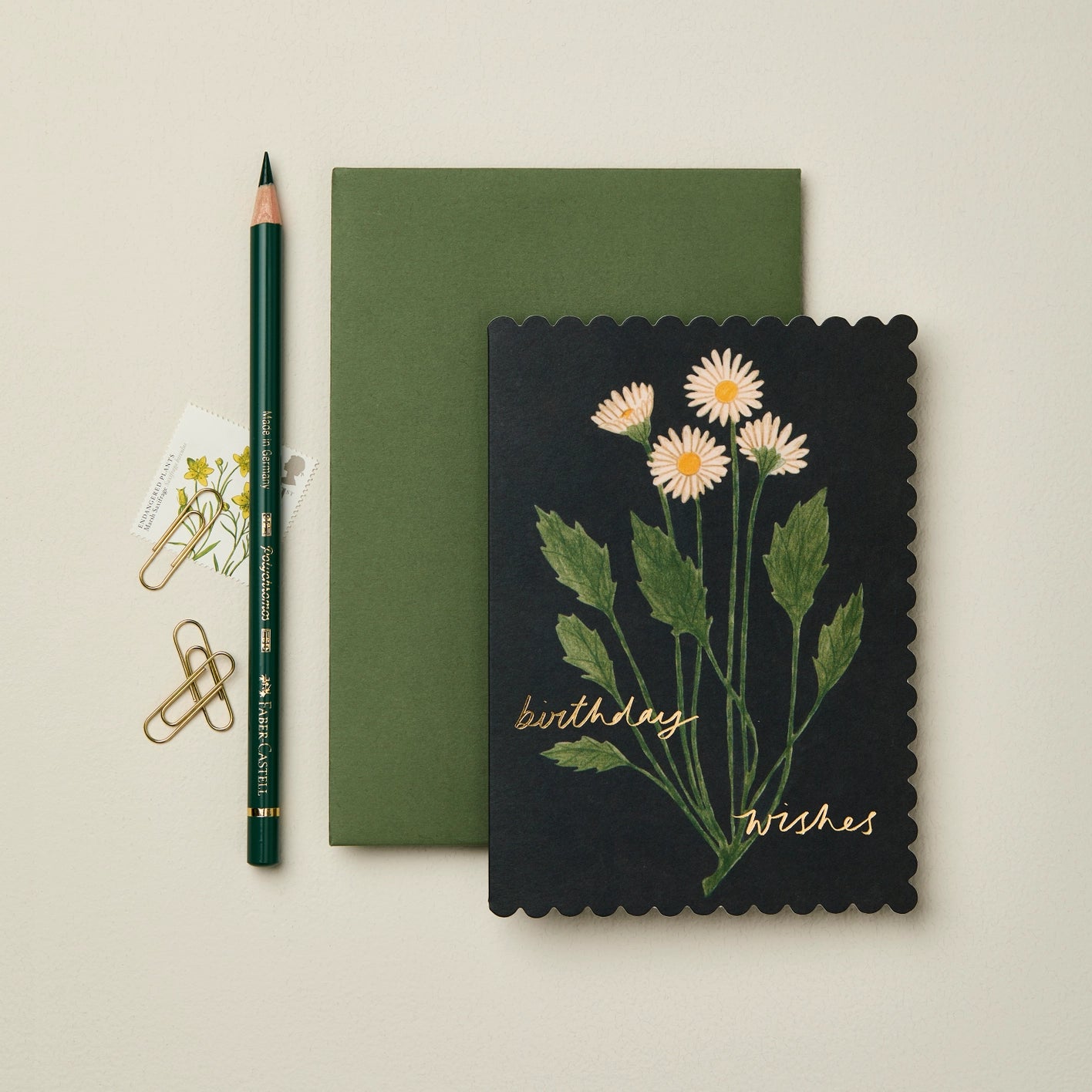 Greeting Card - Daisy Birthday Wishes